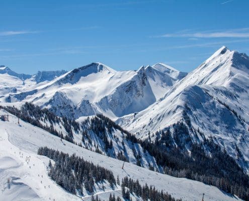 Ski-Immobilie kaufen in Dorfgastein