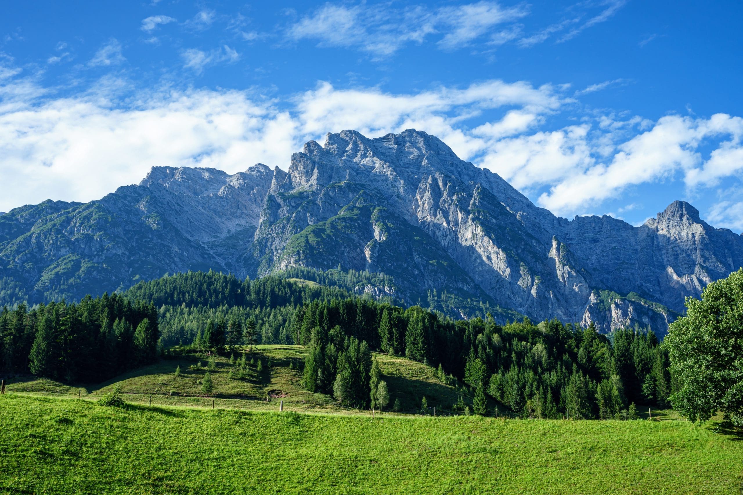 Salzburg und Natur als ideale Lebensbedingung