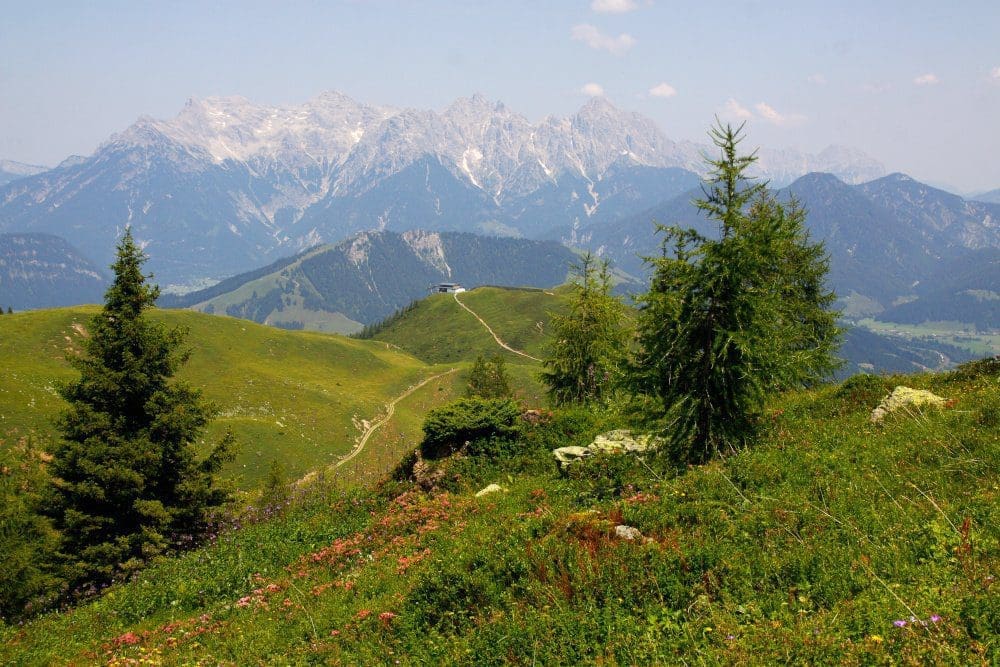 Wandern in Fieberbunn im Sommer