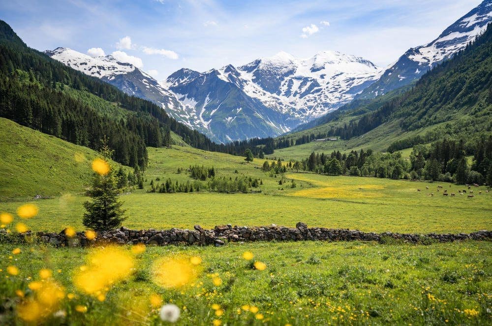 Hohe Tauern-Nationalpark in Salzburg